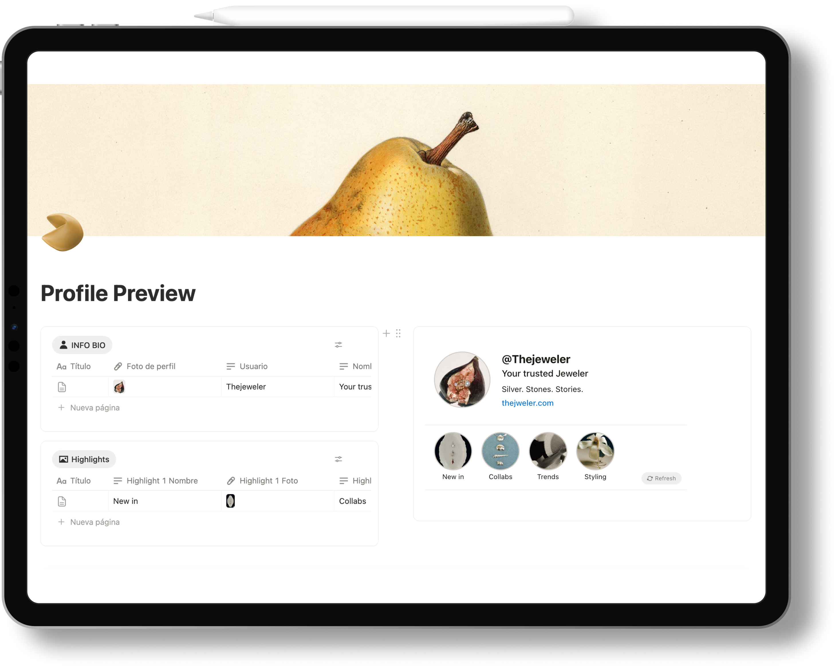 Profile Preview en Notion